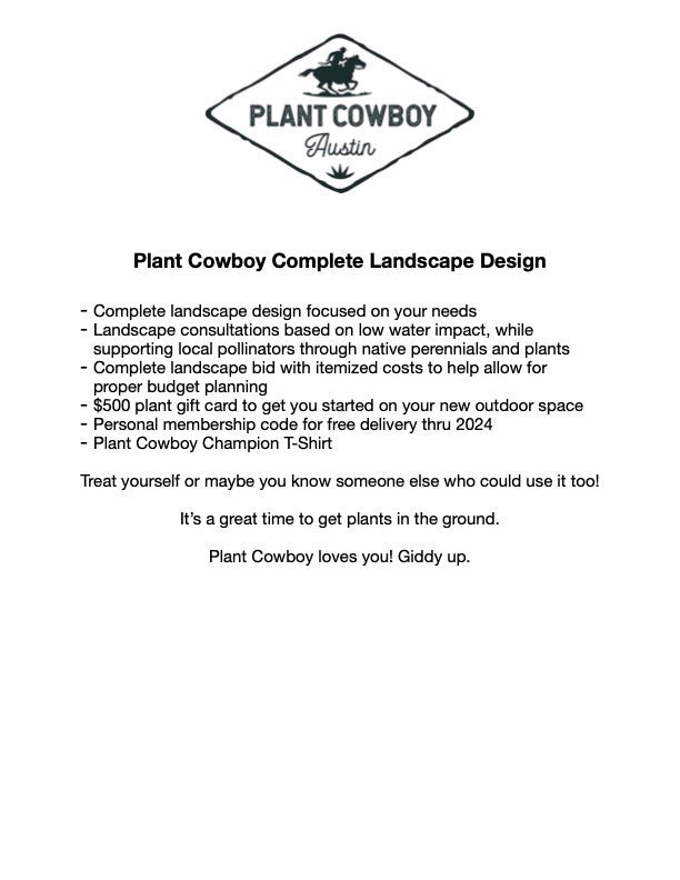 Comprehensive Native Plant Design